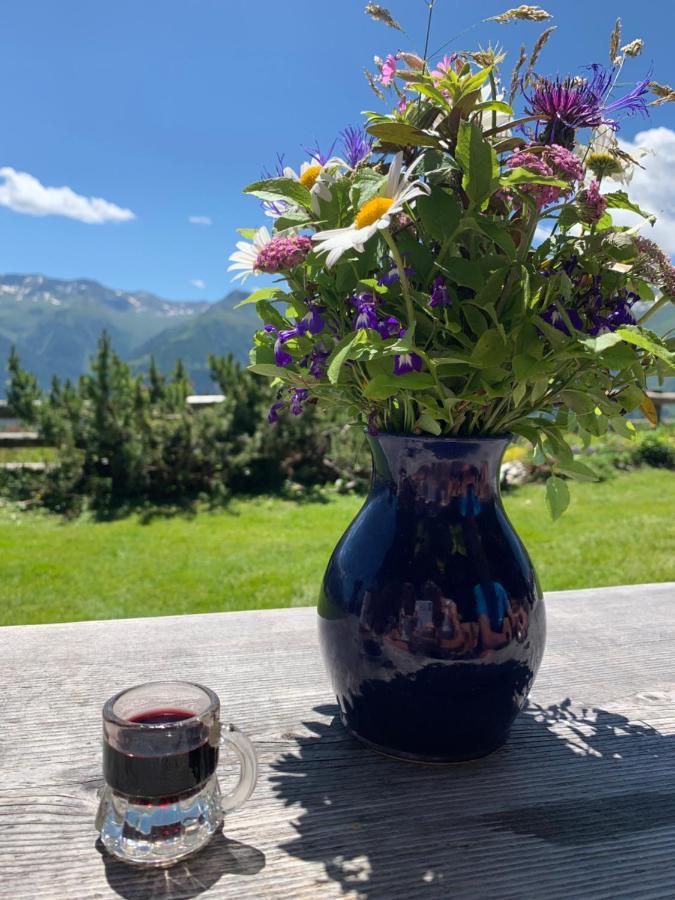 Haus Helga Apartman Lienz Kültér fotó