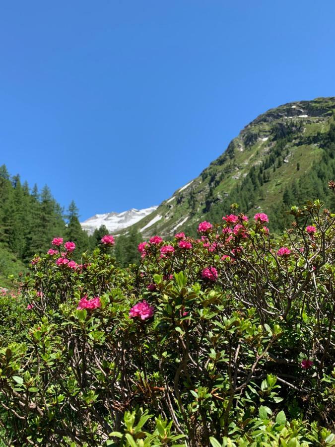 Haus Helga Apartman Lienz Kültér fotó
